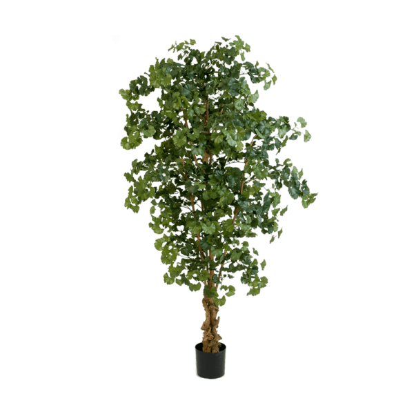 Ginkgo tree, artificial tree, artificial plants, natural trunk, large crown