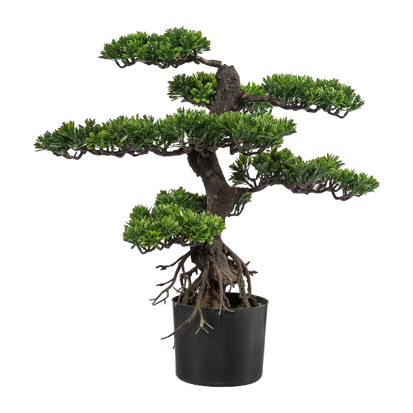 Sztuczny Bonsai Podocarpus - h -65 cm